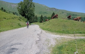 Descente du Joly