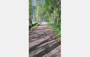 Aux environs de Flers