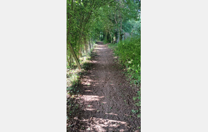 un peu de piste avant le marais