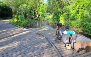 Passerelle dans le marais