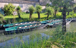 En attente de touristes